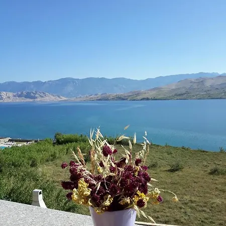 Apartment Apartments By The Sea Pag - 6526
